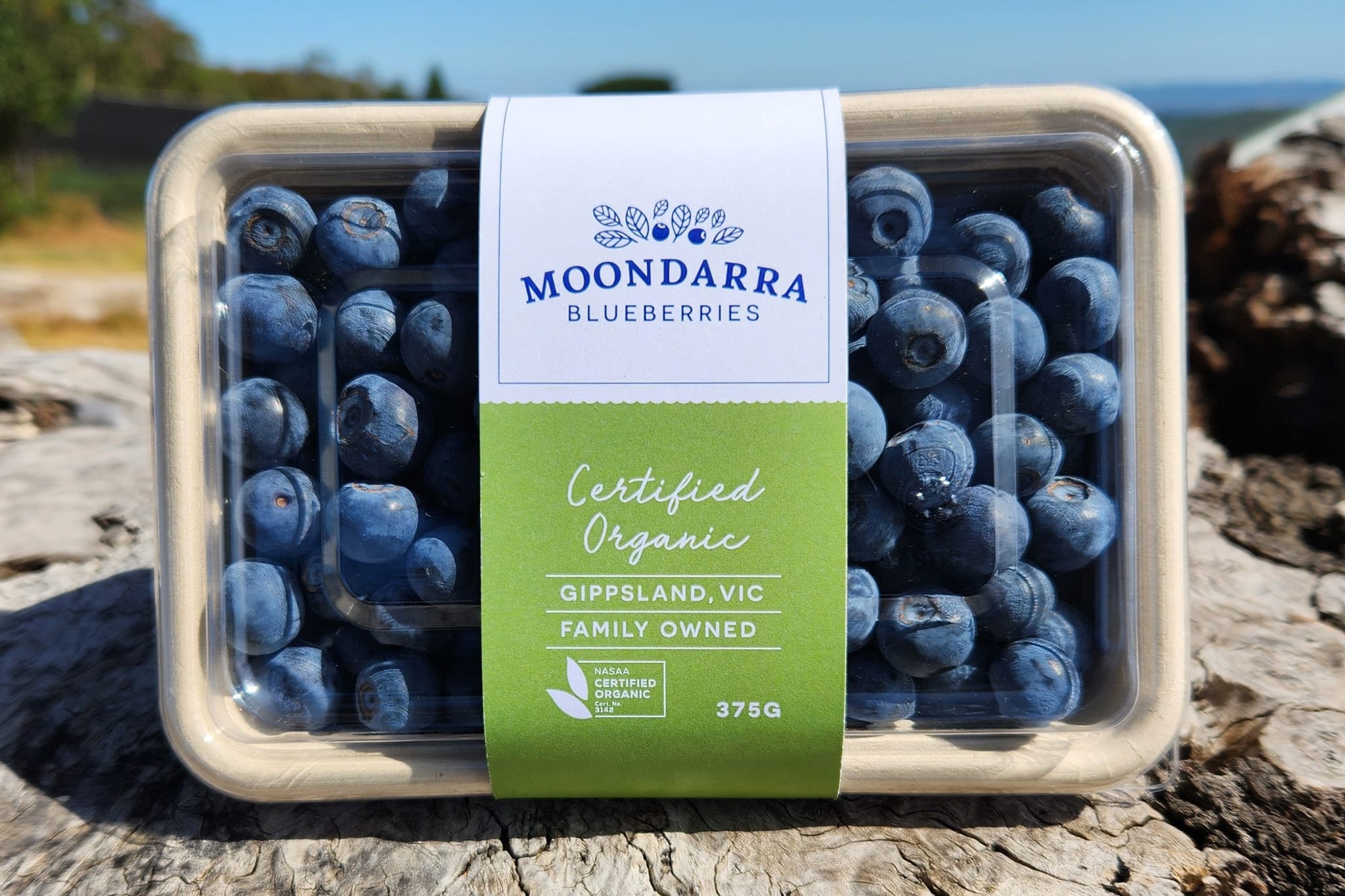 A punnet of Moondarra blueberries grown in the Great Dividing Ranges.